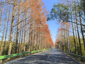 ���ջ�����·��ɽ��