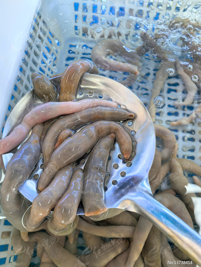 ����Ʒ����ͼƬ