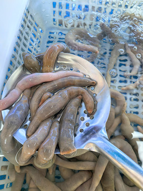 ����Ʒ����