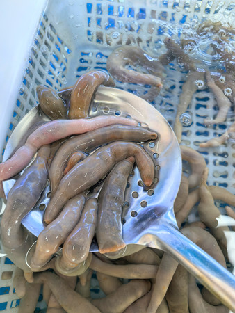 ����Ʒ����