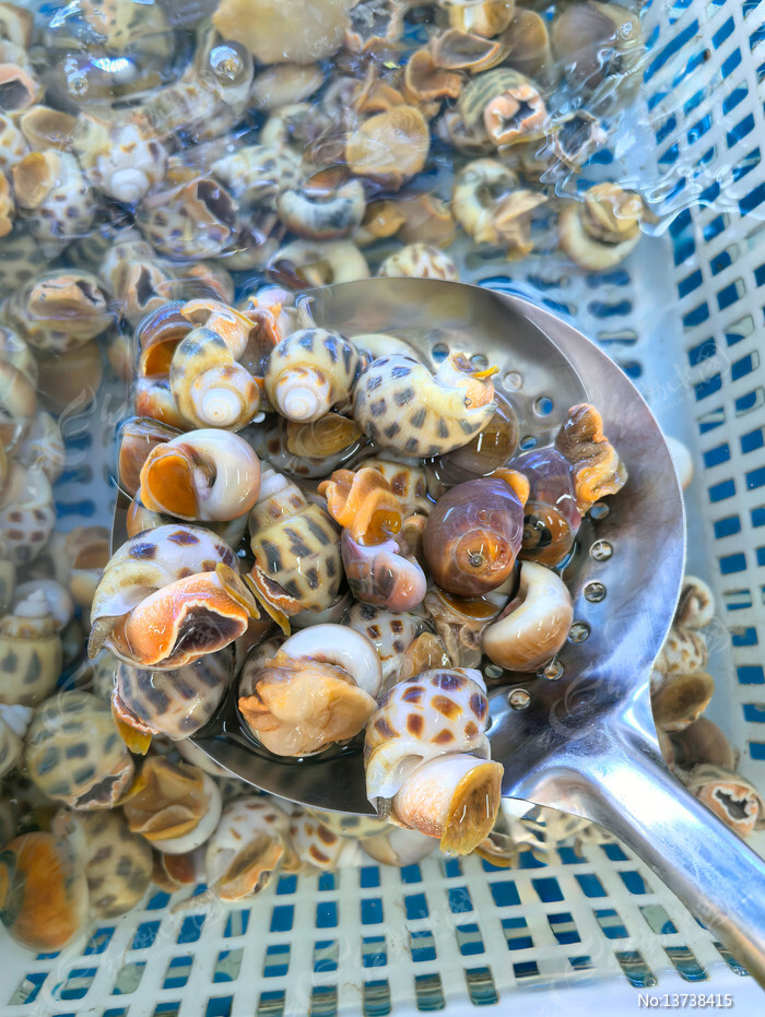 ��������ͼƬ