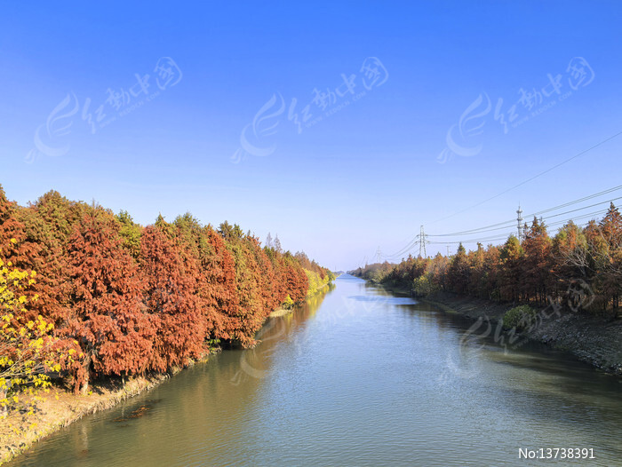 �ӵ�ˮ��ˮɼ��ͼƬ