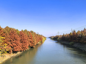 �ӵ�ˮ��ˮɼ��