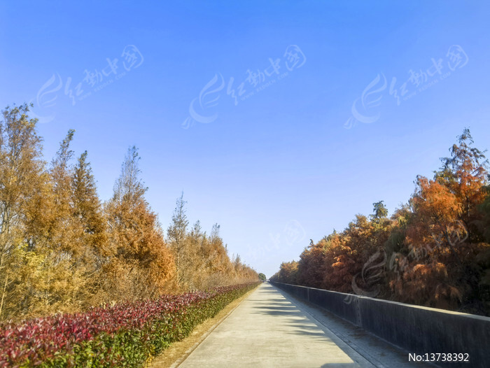 ů���к���·ͼƬ