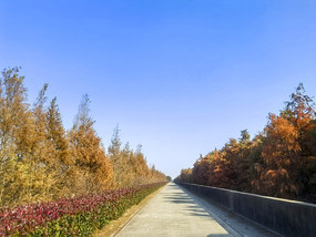 ů���к���·