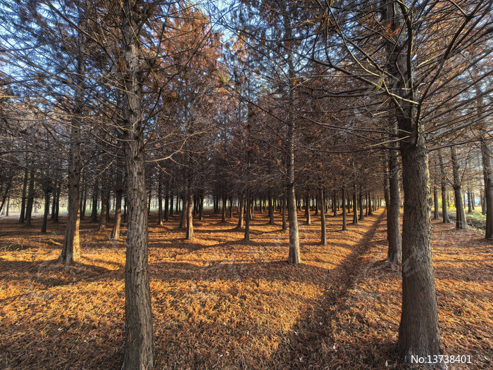 ˮɼ����������ͼƬ