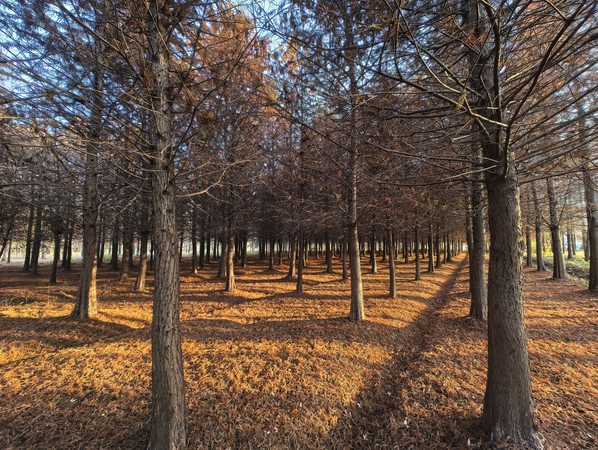 ˮɼ����������