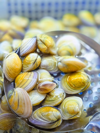 �ʻ����