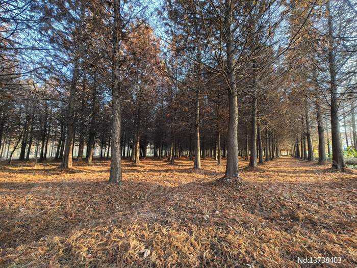 ��������ˮɼ��ͼƬ