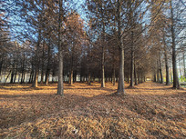 ��������ˮɼ��