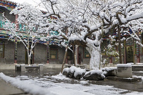 �����ĺ�Ժѩ��