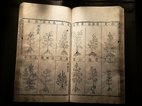 ���ݸ�Ŀ��ʮ���� 