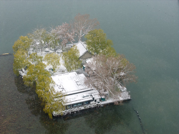 ��������С��ѩ��