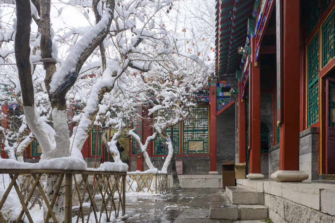 ���չŽ�ͥԺѩ��