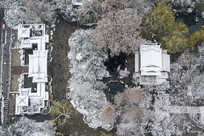 ���չŽ�ѩ�����ͼ