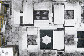 �����ݶ�ѩ�����