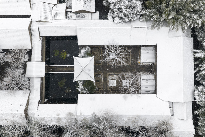 ����ѩ��ͥԺ����