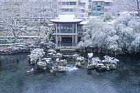 ����԰�ֹŽ�ѩ��