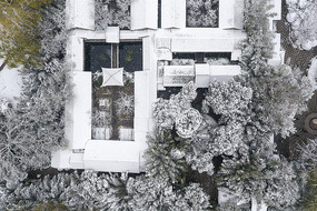 ������ʽ����ѩ��