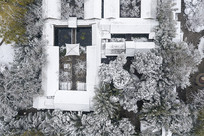 ������ʽ����ѩ��