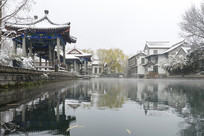 ����ѩ���Ž����