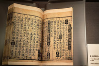 ���ӵ��¾��ű���עֱ�����  