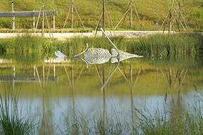 ˮ��԰������Ҷ����