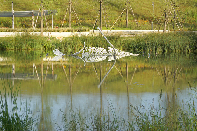 ˮ��԰������Ҷ����