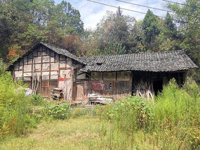 ����ɽ�����ľ��ǽ�ư���լ