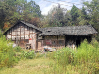 ����ɽ�����ľ��ǽ�ư���լ