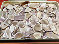 ��ͳ��������������ҩ��÷��¹��