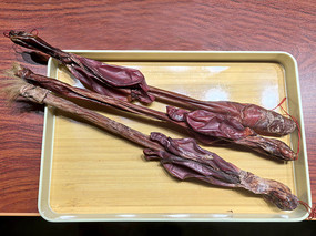 ����¹��