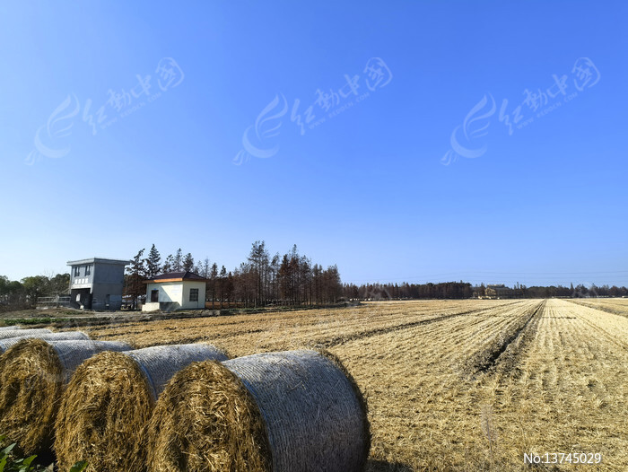 ���ս�����ҰͼƬ