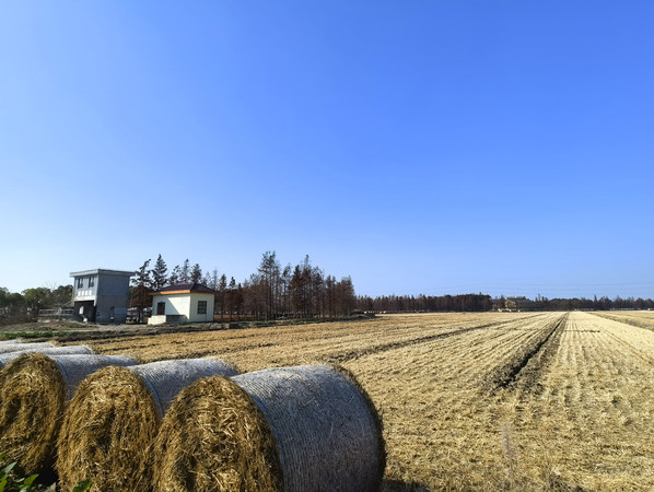 ���ս�����Ұ