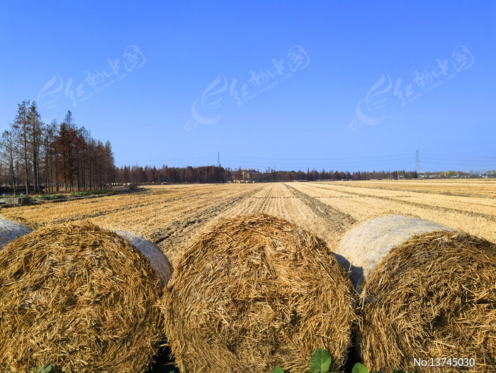 ������ҰͼƬ