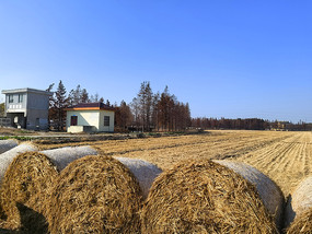 ������Ұˮբ