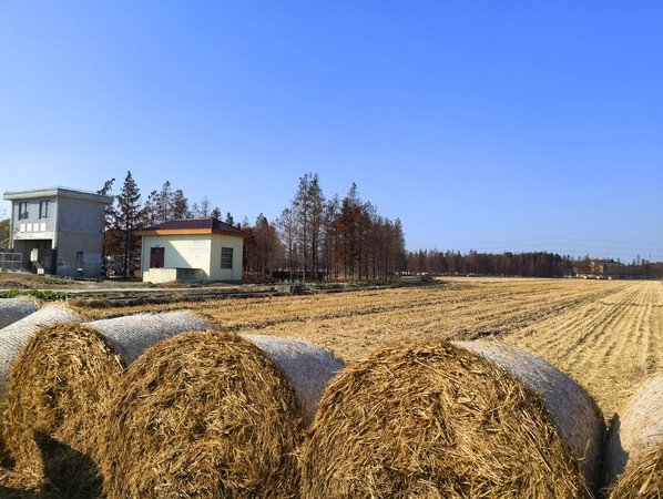 ������Ұˮբ