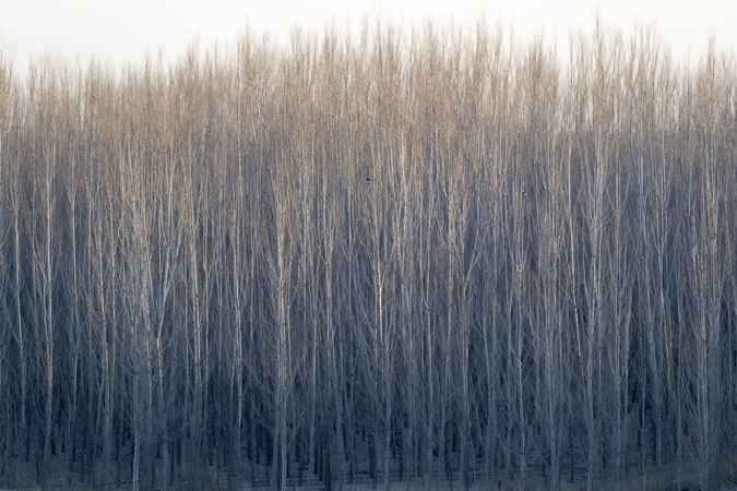 ��ͺ�����־�