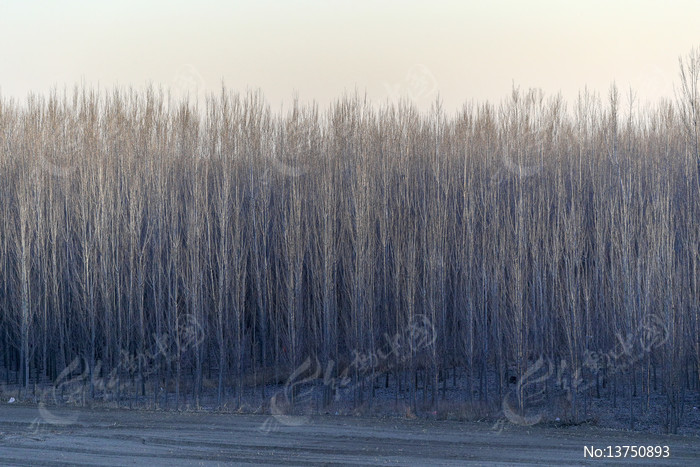 ��ͺ�����־�ͼƬ