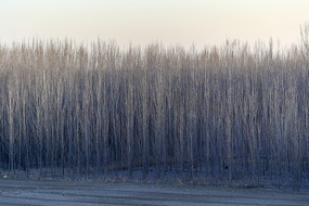 ��ͺ�����־�