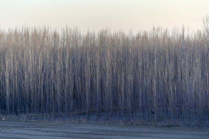 ��ͺ�����־�