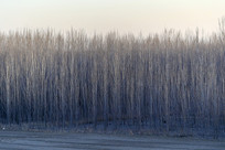 ��ͺ�����־�