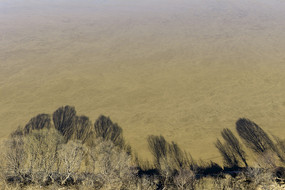 �ƺӰ��߿���Ӱ��