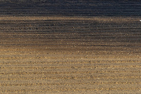 �ƻ��µĸ���