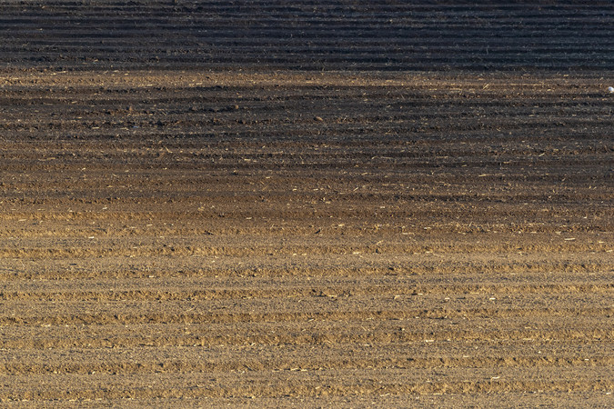 �ƻ��µĸ���