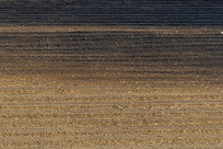 �ƻ��µĸ���