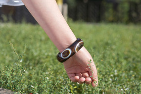 ������ۿ�������