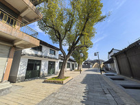 �����Ͻ�