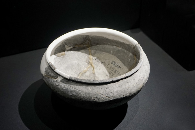 《尸姬之梦》PC版下载 Steam正版分流下载