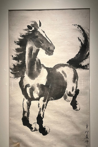 �챯���й�����������